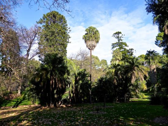 Parco Botanico Park